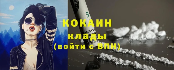 твердый Осинники