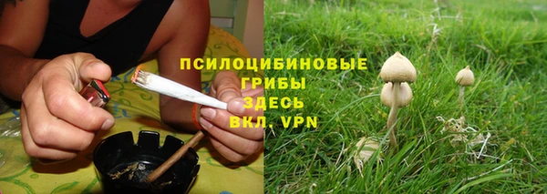 скорость Абаза