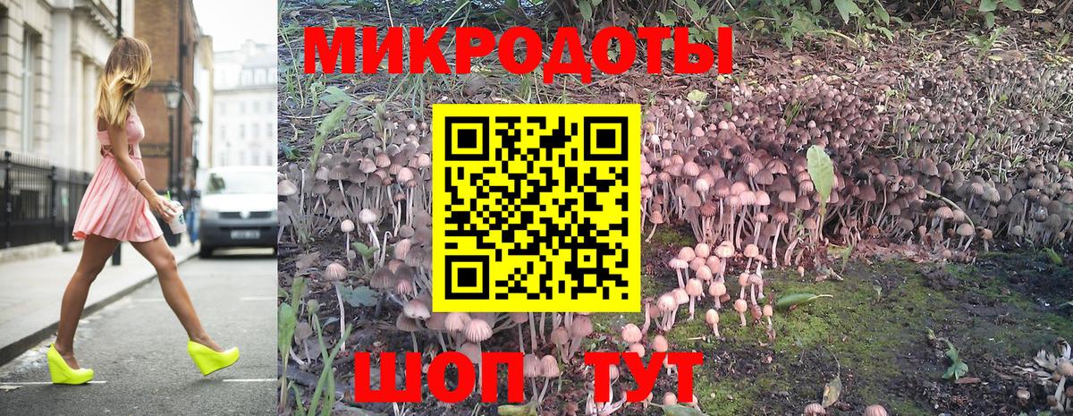 Галлюциногенные грибы Psilocybine cubensis  Галлюциногенные грибы прущие грибы  Стрежевой  Вход с VPN 